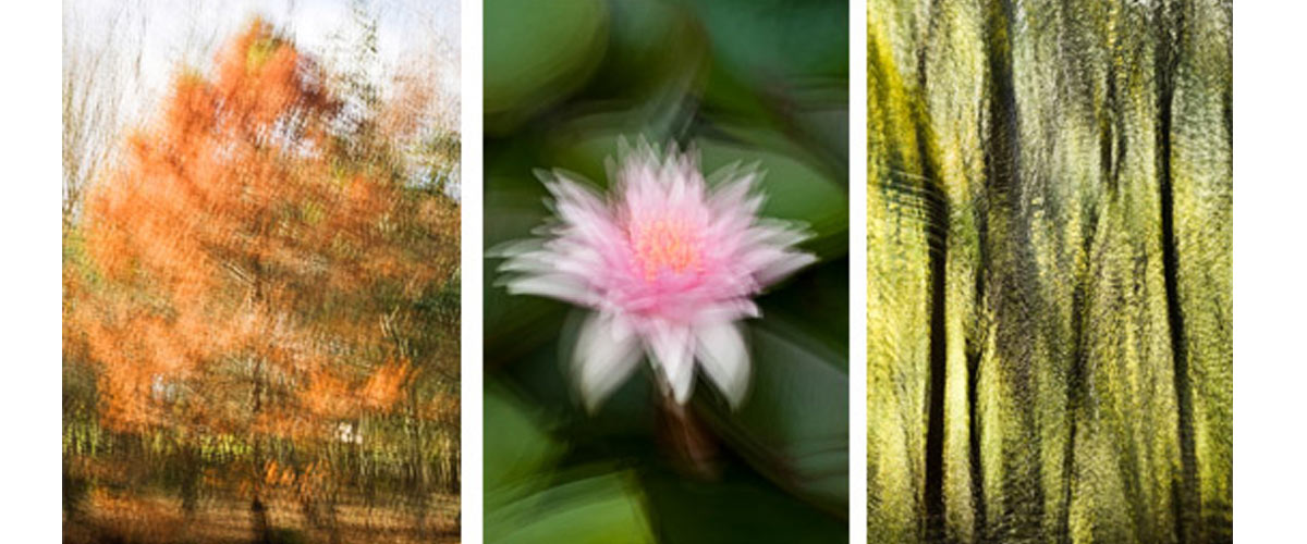 Impressionist multiple exposure images